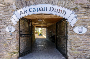 Dingle Centre Townhouse An Capall Dubh Dingle